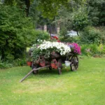 Drewniana taczka na kwiaty – kreatywny sposób na aranżację ogrodu